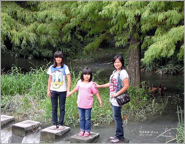 2011-10-雲山水的落羽松3.jpg