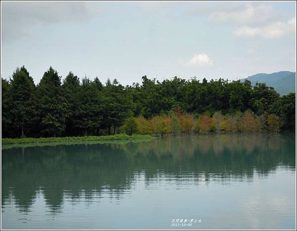 2011-10-雲山水的落羽松5.jpg