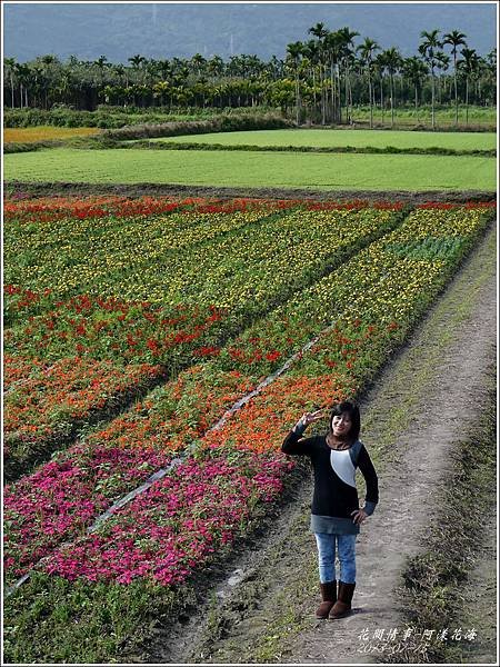 2013-01-阿漾花海35