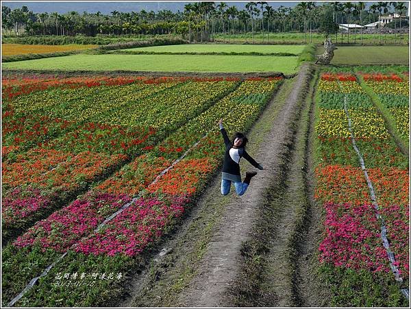 2013-01-阿漾花海2