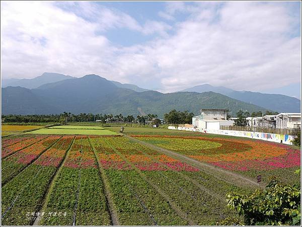 2013-01-阿漾花海3