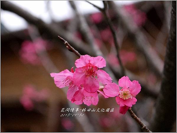 2013-01-林田山文化園區25