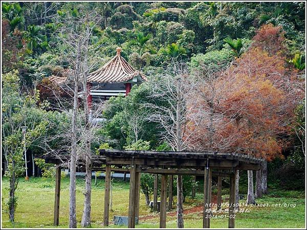 2014-01-小公園落羽松之美10.jpg