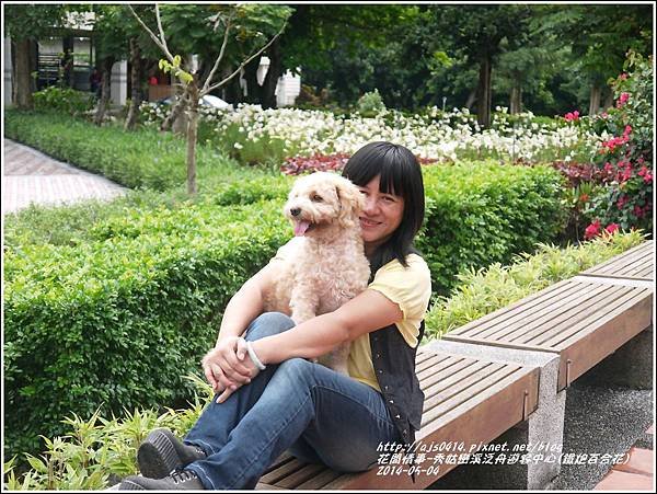2014-05-秀姑戀溪泛舟遊客中心(鐵炮百合花)16.jpg