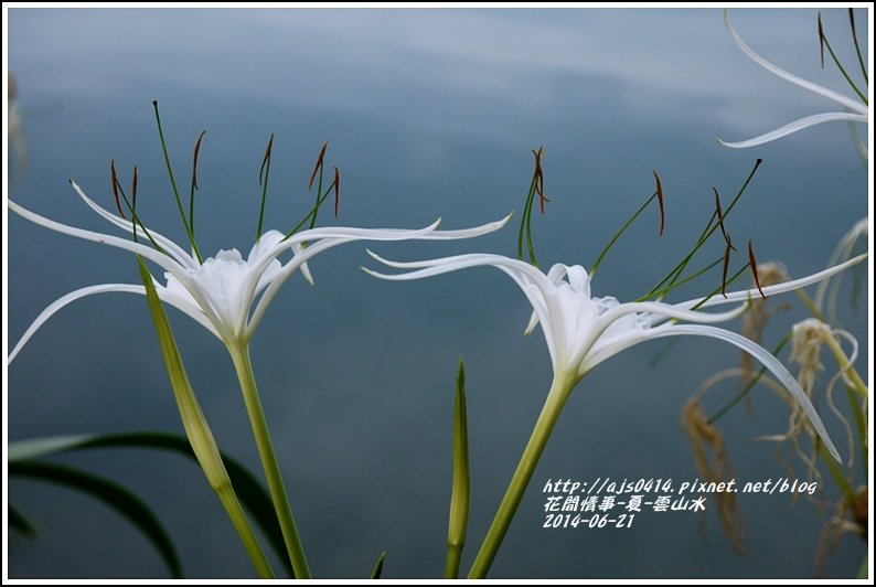 2014-06-夏-雲山水8.jpg