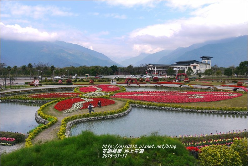 2015-01-池上花海7.jpg