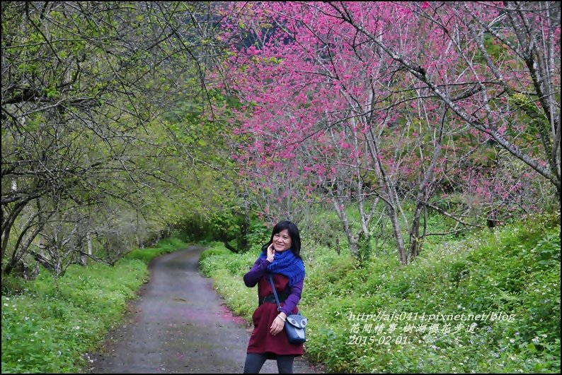 2015-02-樹湖櫻花步道21.jpg