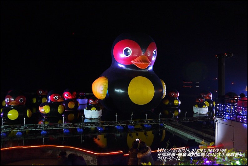 2015-02-鯉魚潭紅面鴨(太平洋燈會)6.jpg