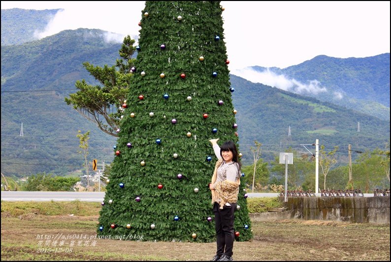 2015-12-富里花海25.jpg