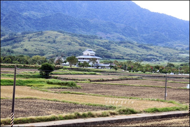 2015-12-富里花海8.jpg