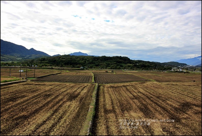 2015-12-富里花海10.jpg