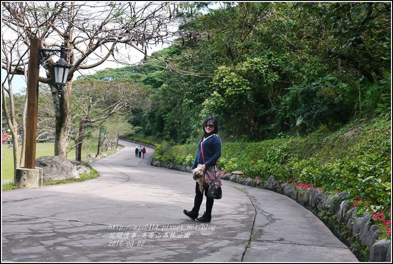 2016-03-美崙山森林公園8.jpg