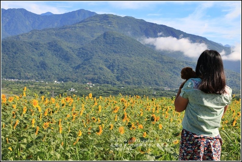 北迴歸線向日葵花海-2016-06-26.jpg