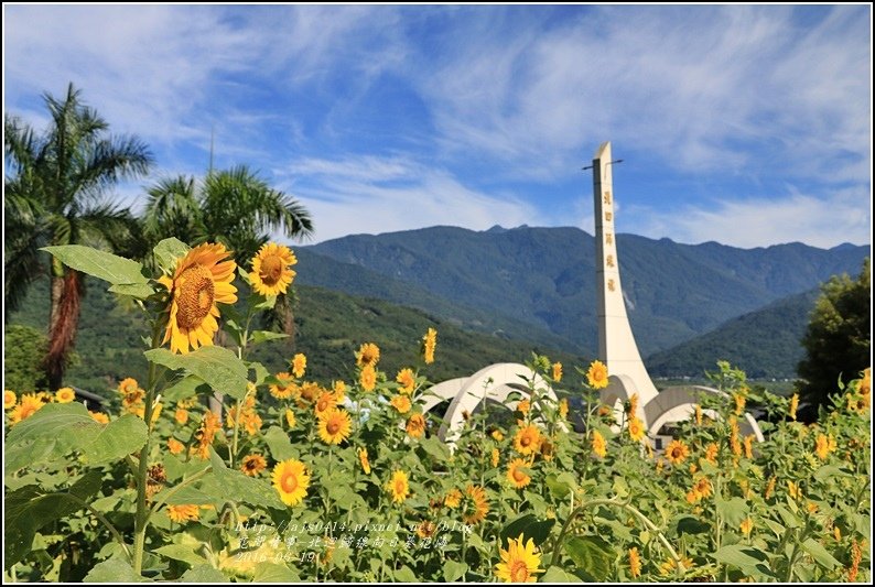 北迴歸線向日葵花海-2016-06-43.jpg