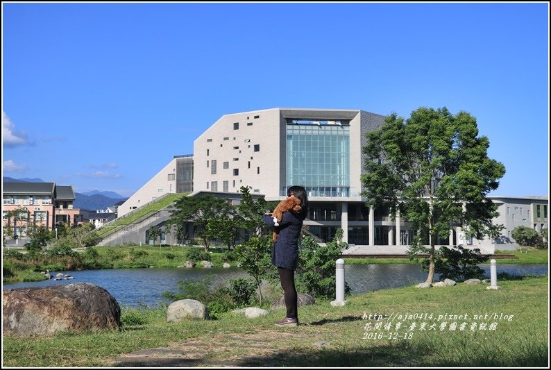 臺東大學圖書資訊館-2016-12-24.jpg
