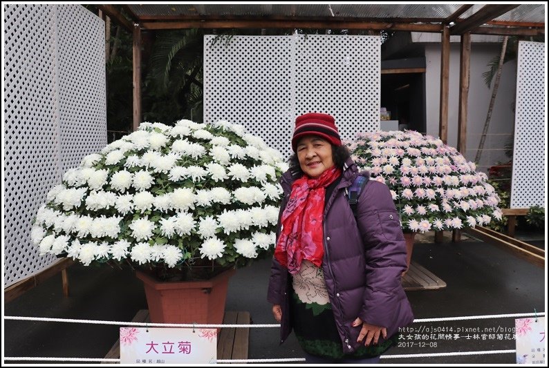 士林官邸菊花展(人像)-2017-12-06.jpg