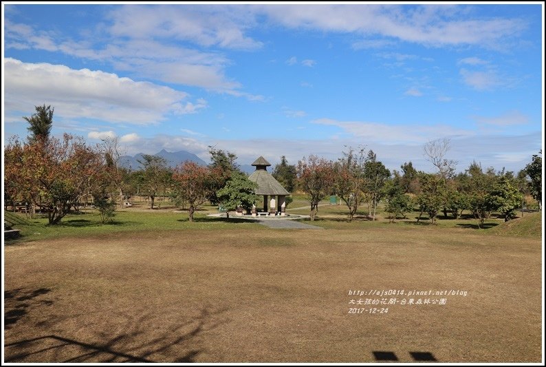 台東森林公園-2017-12-03.jpg