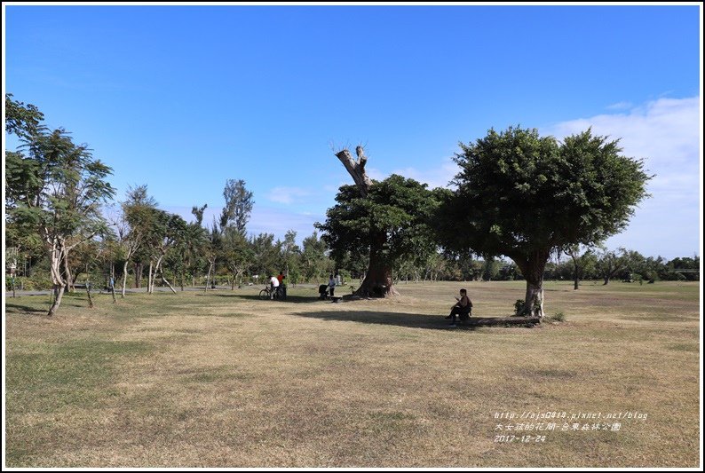 台東森林公園-2017-12-02.jpg