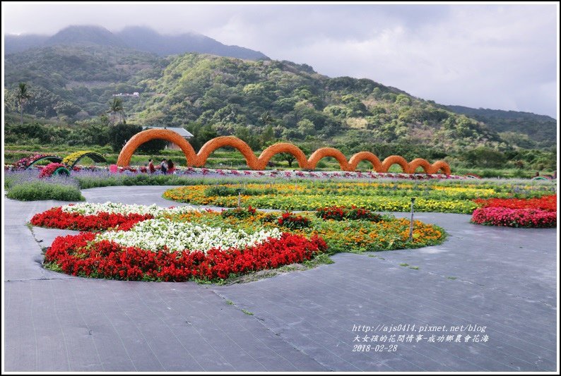 成功花海-2018-02-01.jpg