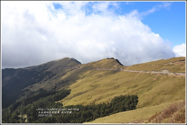 台14甲線(合歡山段)-2018-02-07.jpg