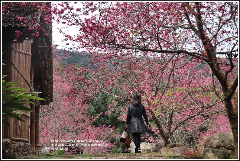 九族文化村櫻花季-2018-02-101.jpg