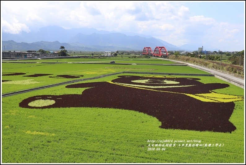 玉里黑熊彩繪田(熊讚上學去)-2018-04-03.jpg