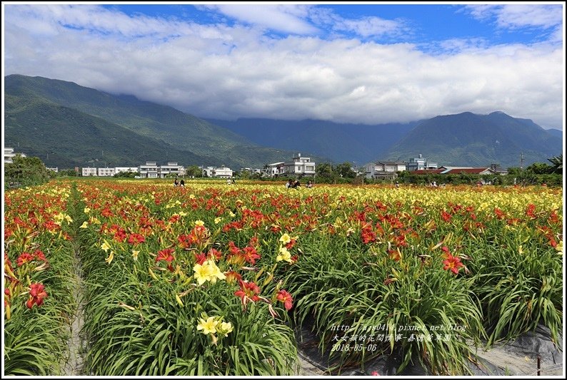 嘉德萱草園-2018-05-25.jpg