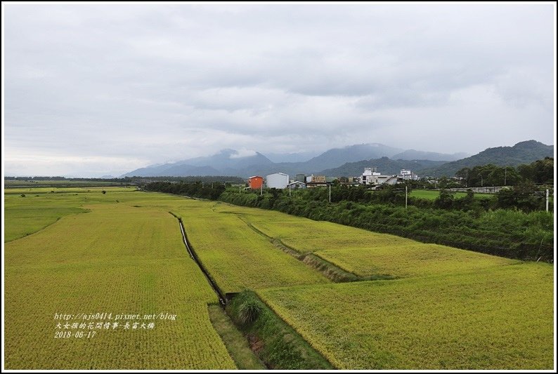 長富大橋(大地色塊)-2018-06-18.jpg