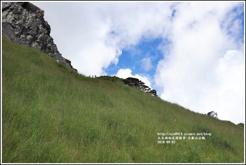 合歡山公路-2018-08-09.jpg