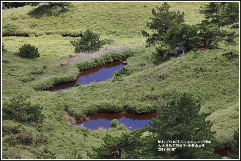 合歡山公路-2018-08-26.jpg