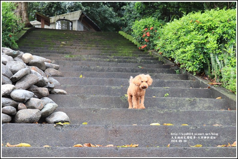 玉里神社遺址-2018-09-01.jpg