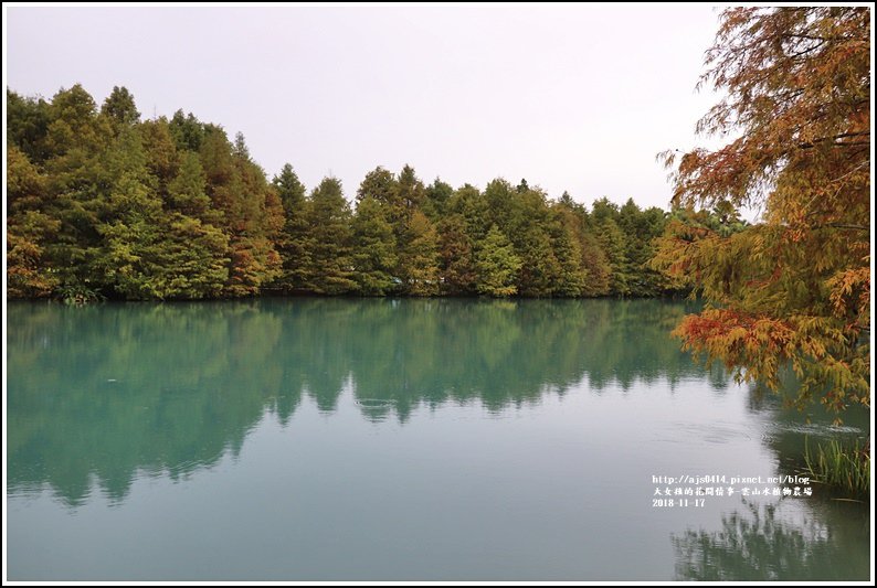 雲山水植物農場-2018-11-15.jpg