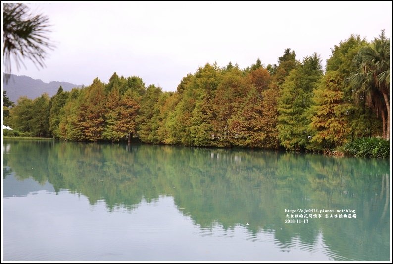 雲山水植物農場-2018-11-23.jpg