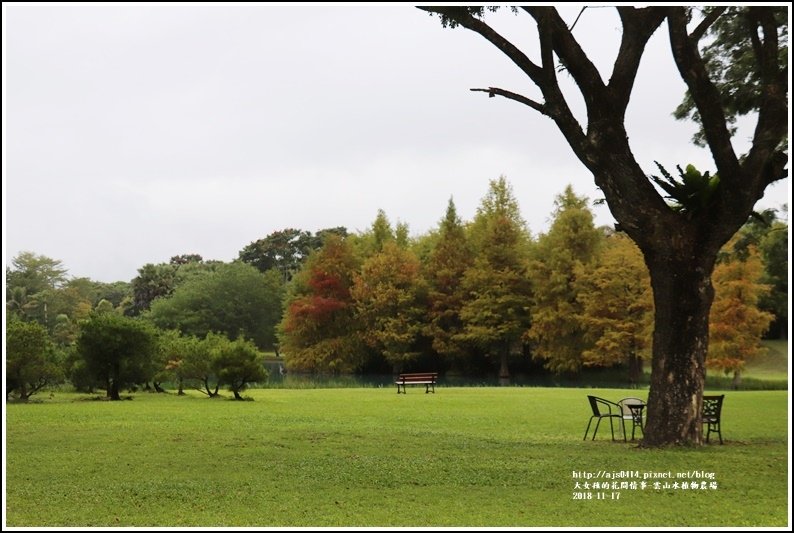 雲山水植物農場-2018-11-29.jpg