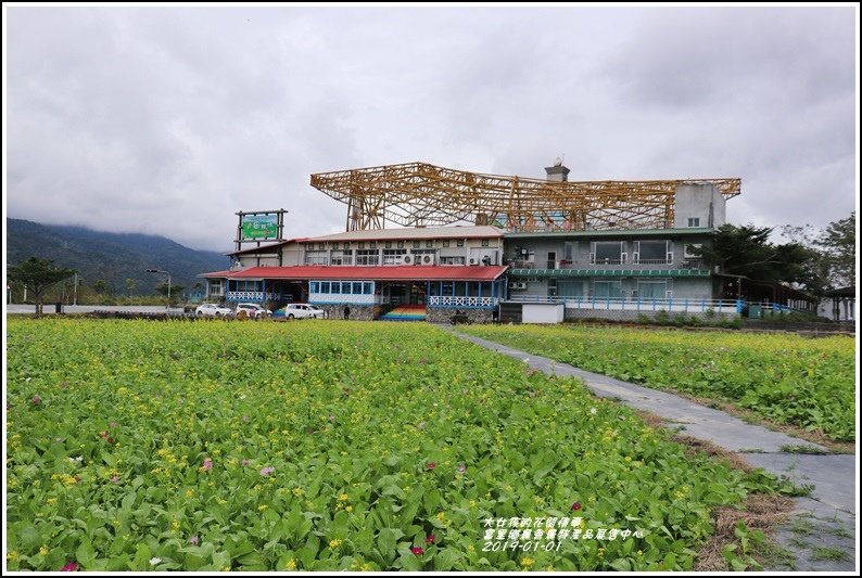 富里鄉農會花海-2019-01-05.jpg