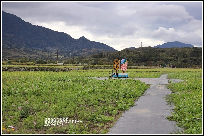 富里鄉農會花海-2019-01-20.jpg