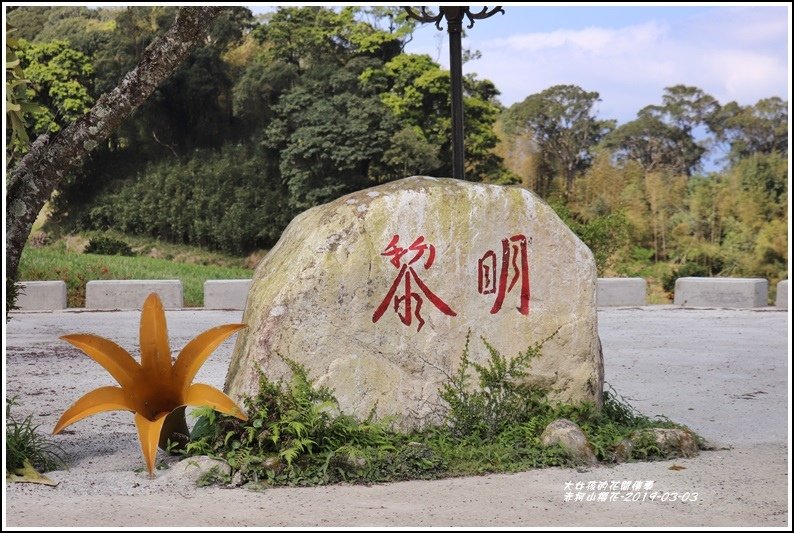 赤柯山櫻花-2019-03-93.jpg