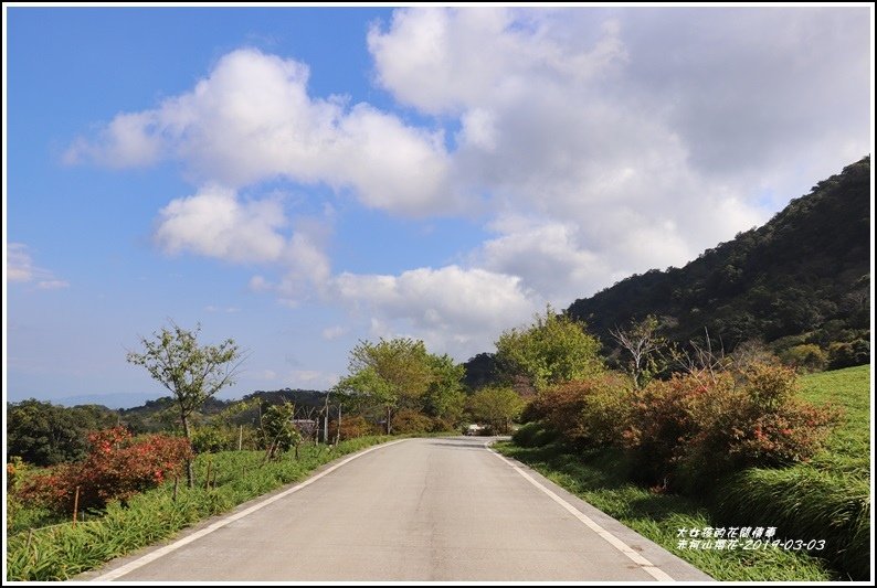 赤柯山櫻花-2019-03-101.jpg