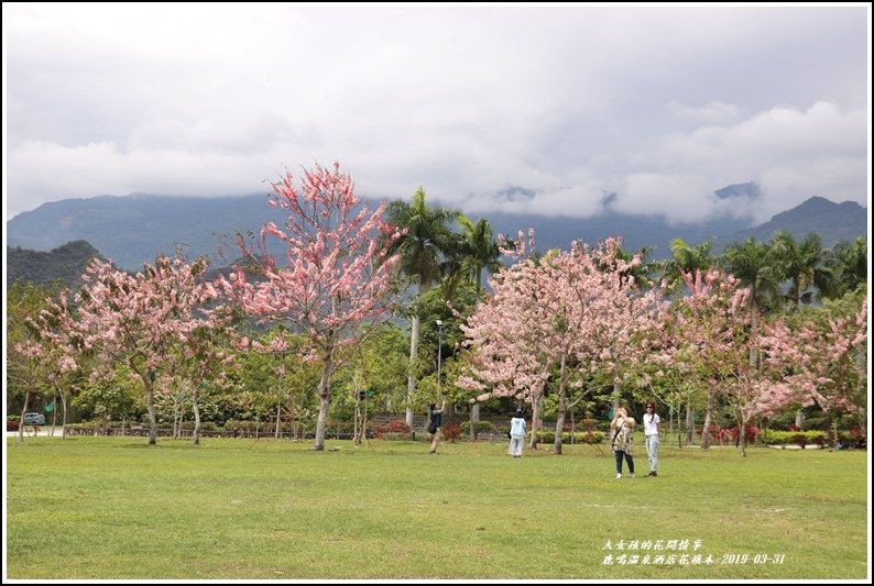 鹿鳴溫泉酒店花旗-2019-03-57.jpg