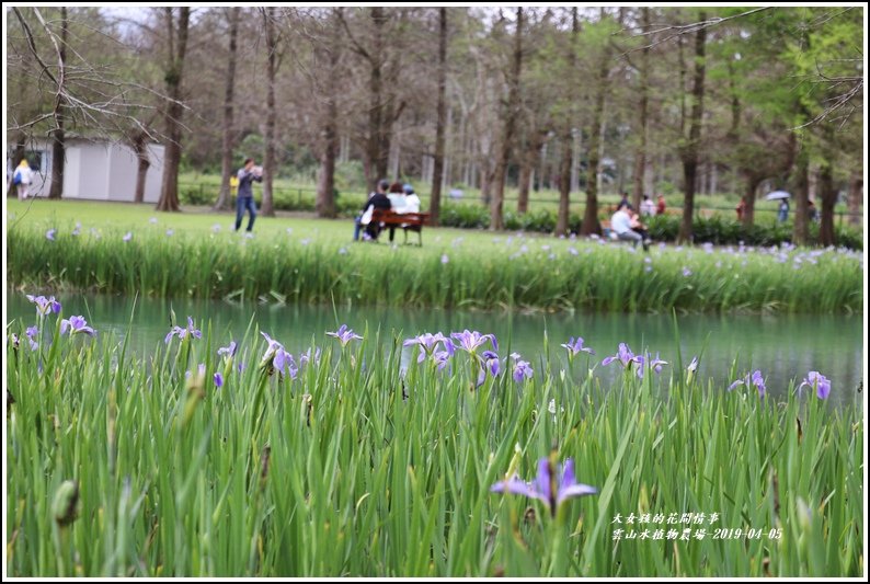 雲山水植物農場-2019-04-07.jpg