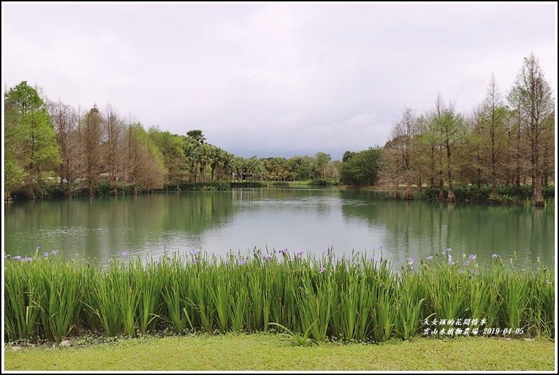 雲山水植物農場-2019-04-25.jpg