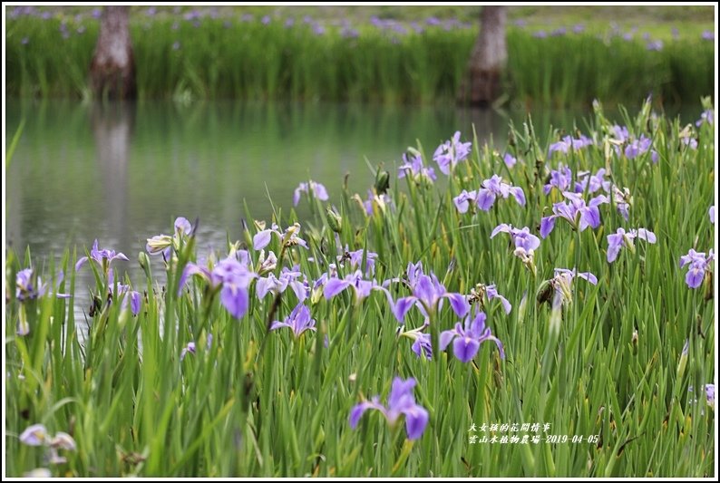 雲山水植物農場-2019-04-26.jpg