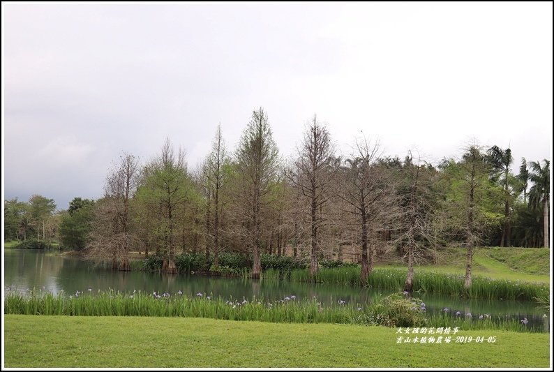 雲山水植物農場-2019-04-30.jpg