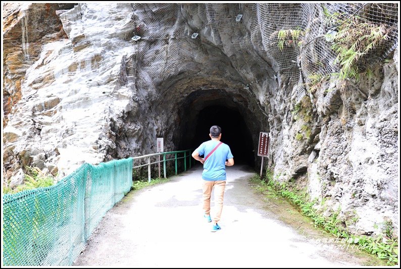 白楊步道-2019-04-24.jpg