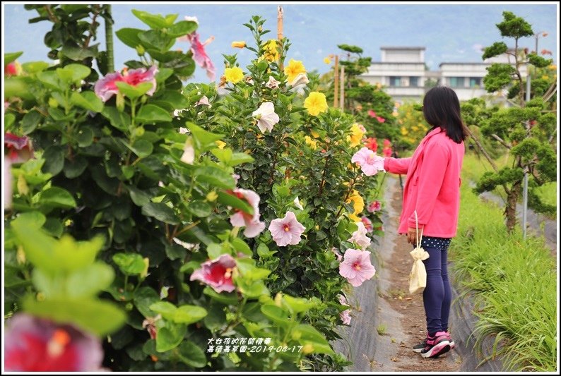 嘉德萱草園-2019-04-41.jpg