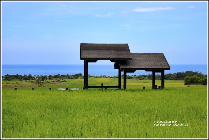 長濱金剛大道-2019-05-23.jpg