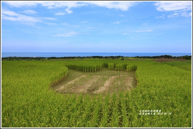 長濱金剛大道-2019-05-26.jpg