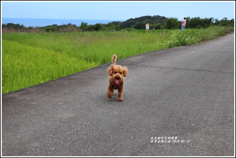 長濱金剛大道-2019-05-27.jpg