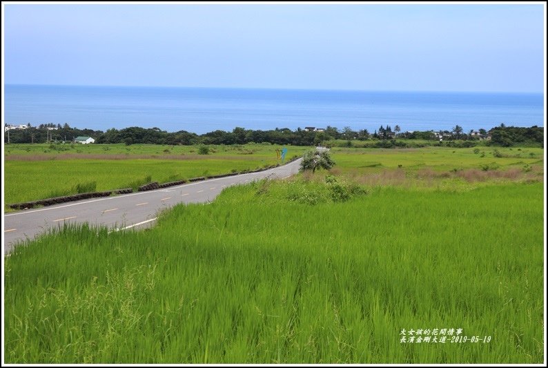 長濱金剛大道-2019-05-30.jpg