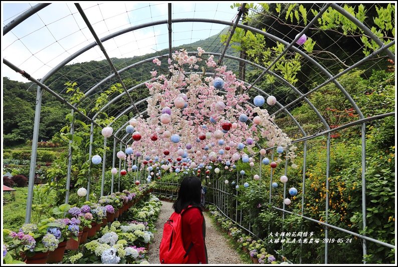 大梯田花卉生態農園-2019-05-005.jpg